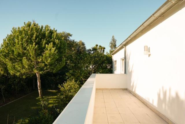 Edles Apartment In Architektenvilla Mit Grossem Pool, Sauna, Dachterrasse Und Malerischem Garten Pataias Luaran gambar